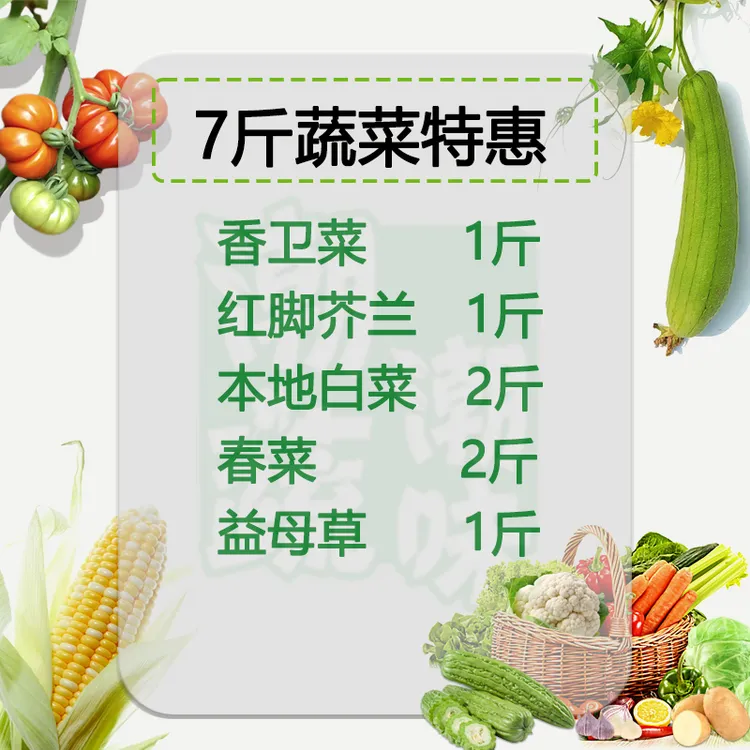 特惠【潮蔬潮味】C号新鲜菜7斤装春菜红脚芥兰本地白菜香卫菜益母草
