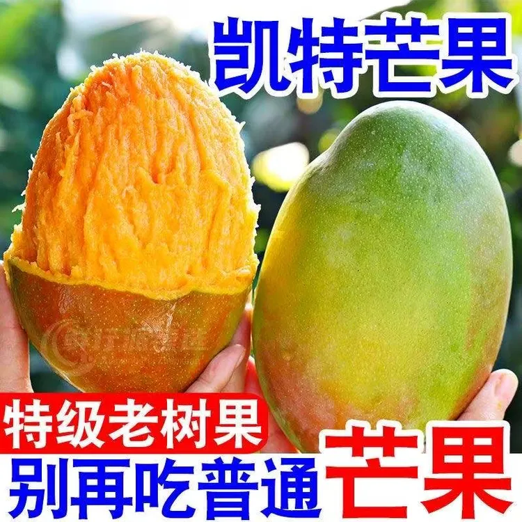（催熟食用）攀枝花凯特芒酸甜多汁现摘现发带箱5-10斤