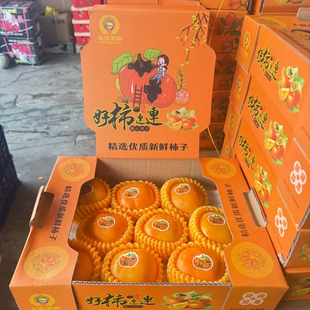 新鲜金秋脆甜柿  9颗装 清甜可口 包邮 现货现发