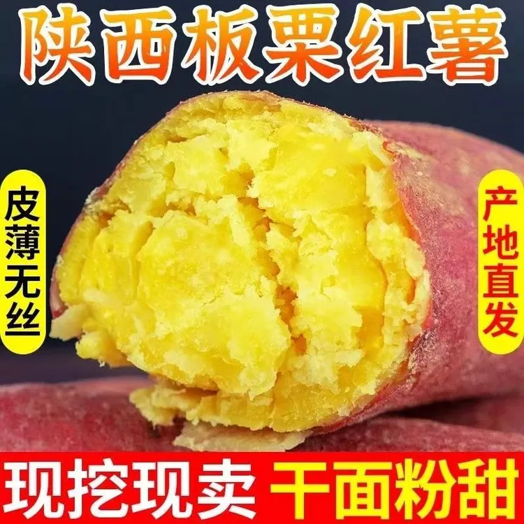 现挖现发陕西临潼沙地板栗红薯粉糯甘甜无丝无筋黄心番薯3-5斤