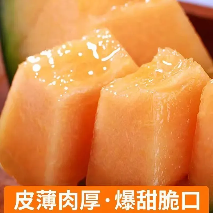 【海南直发】晓蜜25号海南哈密瓜西州蜜脆甜应季美味新鲜网红水果