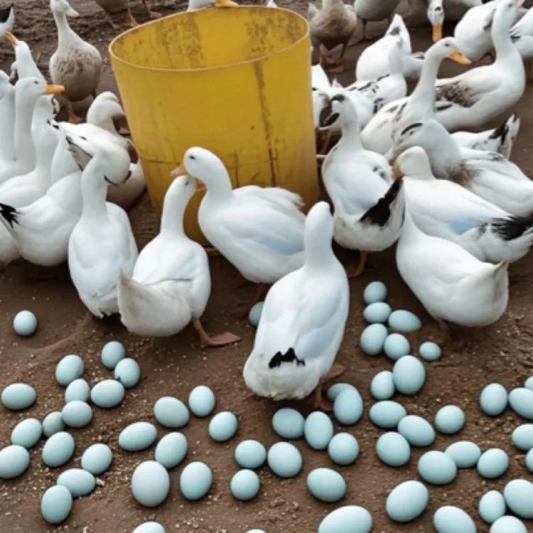 花边鸭绿壳蛋活鸭双黄蛋宠物鸭每只半斤发货
