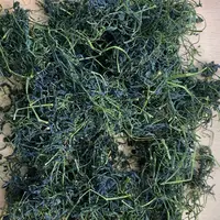 【杨老妹】山货 绞股蓝 100克 -200克农产品  平时可搭配枸杞