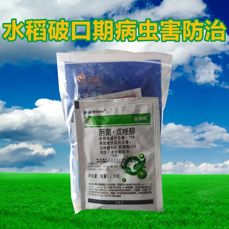 水稻破口期病虫害防治预防稻瘟病纹枯病钻心虫稻纵卷叶螟
