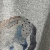 ｛귤 언니｝ba高级感小马质感长袖薄卫衣tee