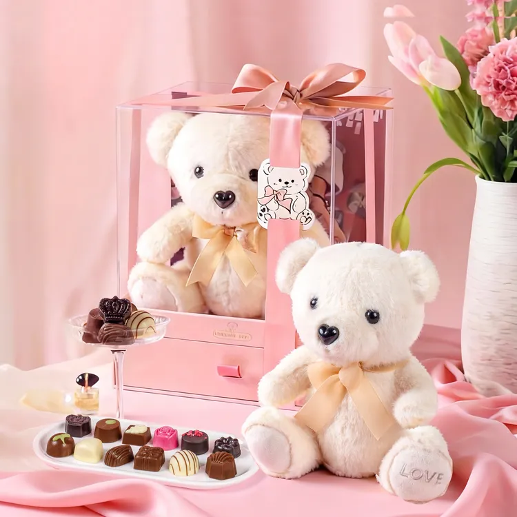 手工进口巧克力小熊礼盒送女朋友儿童男孩生日圣诞节零食伴手礼物