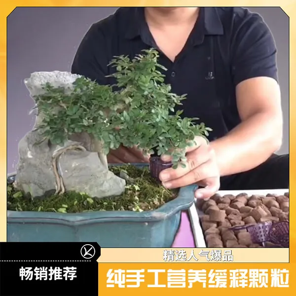 盆栽适用有机质无异味大颗粒缓释颗粒纯手工促进溶解土壤混合