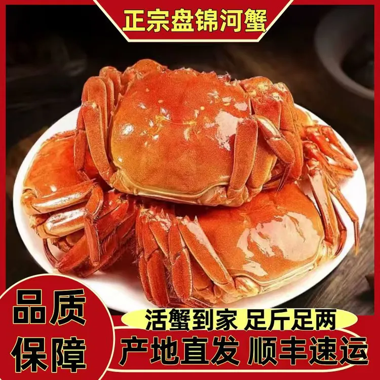 S【活蟹】盘锦河蟹母蟹1.2-0.9两（30只）顺丰包邮 死蟹包赔 产地直发