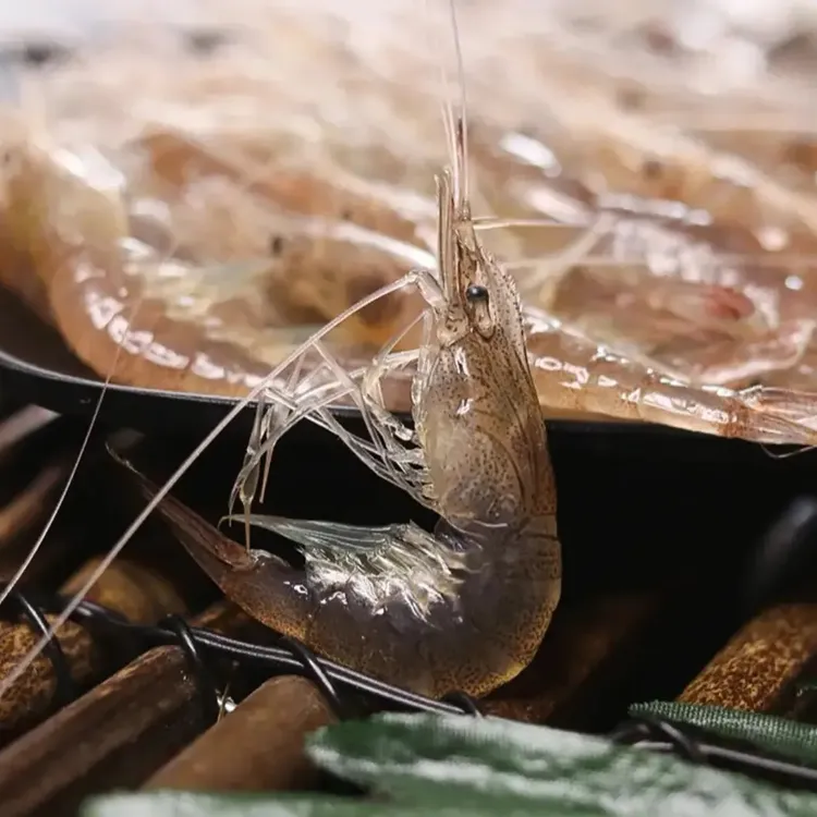 【到手4斤】当季海捕小海虾白虾肉质鲜嫩油炸爆炒顺丰京东冷链包邮Z