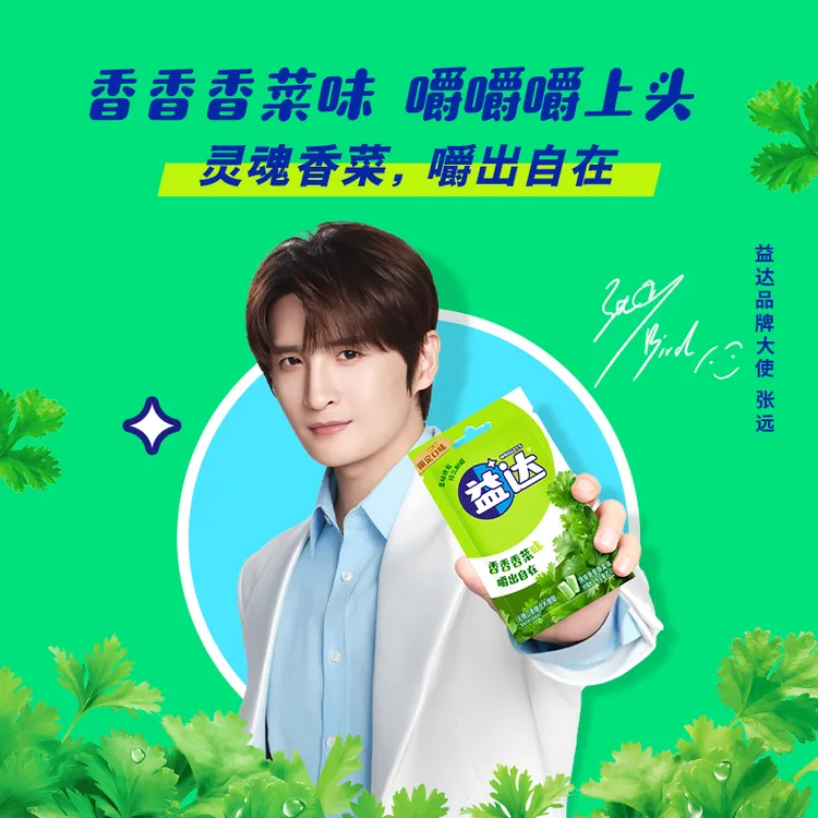 【张远同款】限定清新香菜味口香糖清新口气休闲办公室解馋糖果 DR