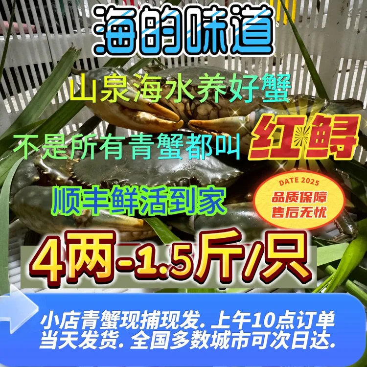 原生态鲜活特大青蟹公蟹母蟹红膏蟹海鲜膏蟹鲜活发货