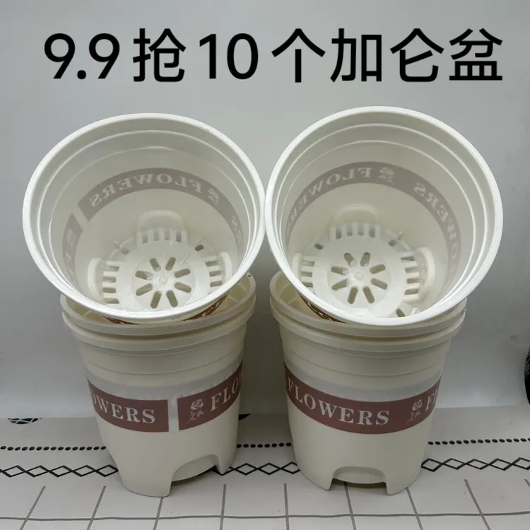 白色加仑花盆透气性好防烂根可种多种花卉适合家用阳台