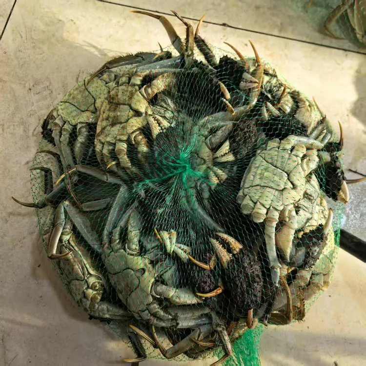 （公蟹）不爱吃腿【活蟹】辽蟹大闸蟹3两/左右3斤（10/12只）保鲜不保活