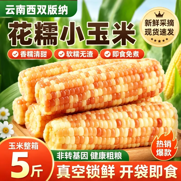 云南西双版纳香糯小玉米真空花糯玉米棒新鲜黏糯低脂玉米早餐减商品图