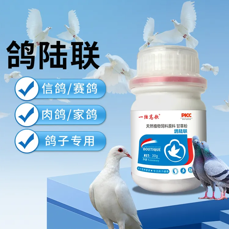 【一陆高歌】鸽陆联鸽子营养肉鸽赛鸽信鸽宠物鸽子鸟类通用掉毛