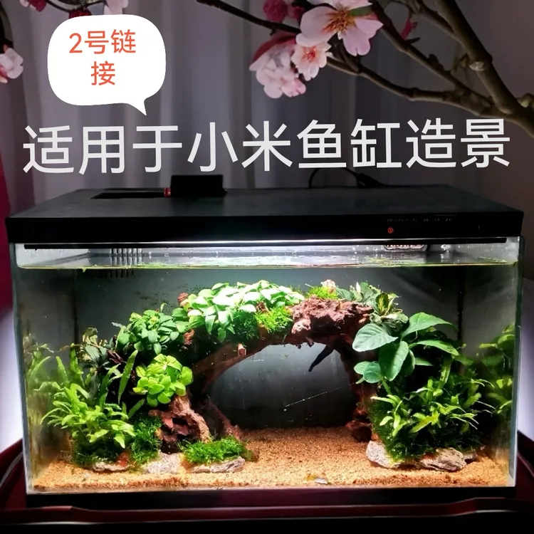 小米鱼缸造景一代专用 当贝缸造景专用 阴性水草成品发货秒成景