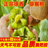 H农家自种正宗陕西眉县徐香猕猴桃奇异果应季水果现摘无农残0