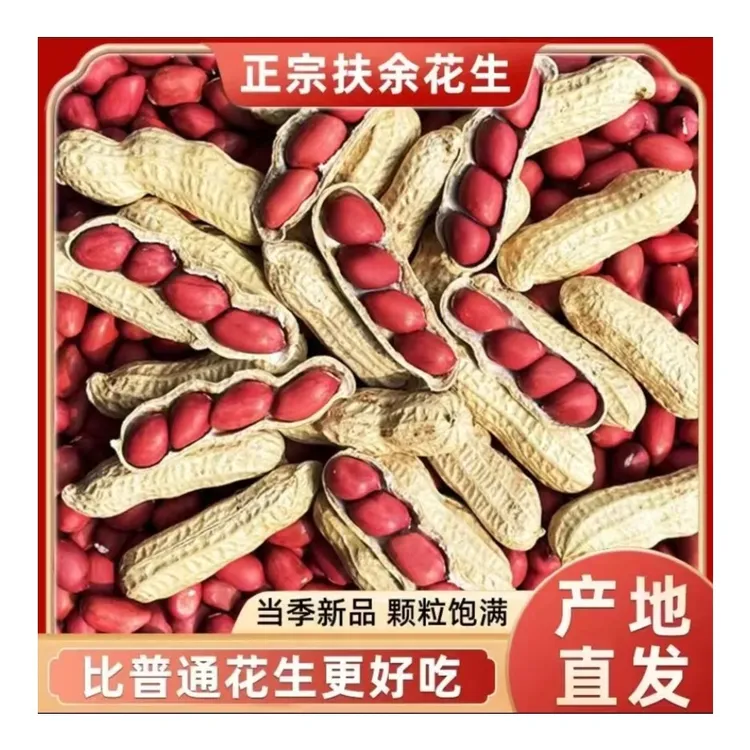 Y（ 买五斤送五斤）2025年【带壳花生】吉林产地四粒红 红皮花生 