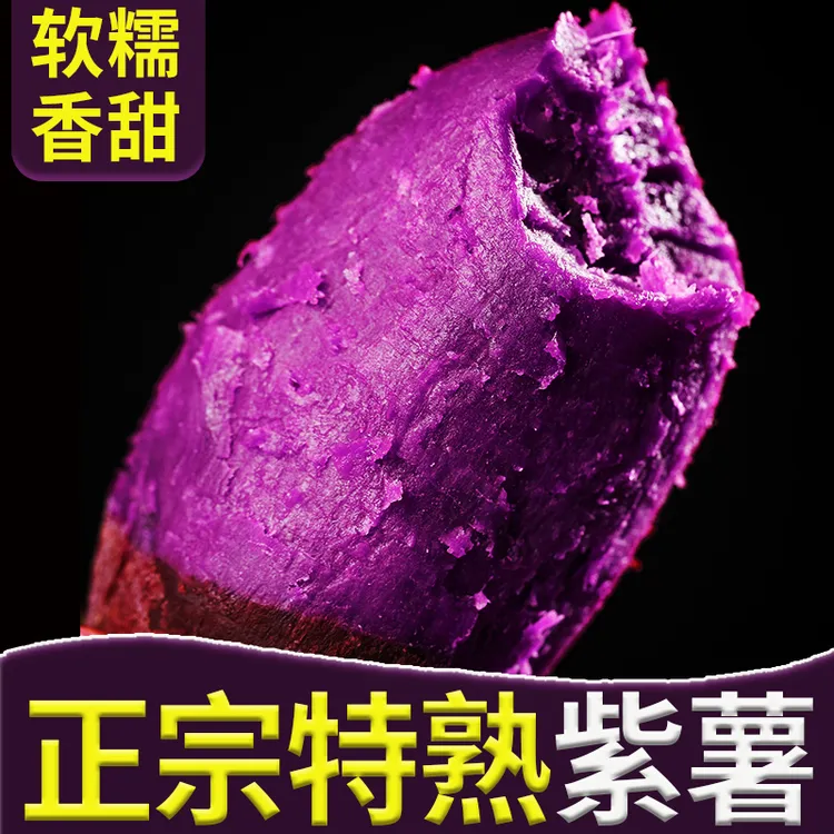 新鲜紫罗兰紫薯沙地现挖粉糯香甜宝辅食粗粮早餐代餐孕妇番薯