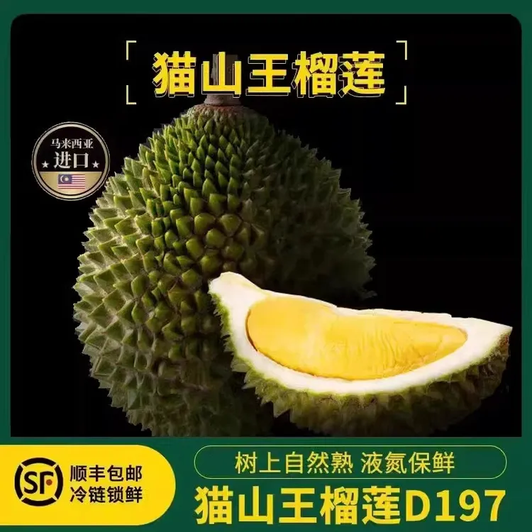 AA果保5房新鲜整果猫山王榴莲D197马来西亚进口液氮冷冻2.5-20斤