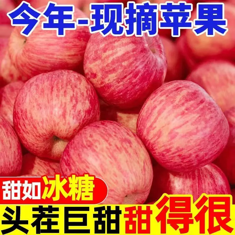 正宗秦脆苹果新鲜应季水果脆甜多汁皮薄肉嫩鲜嫩可口果园现摘速发