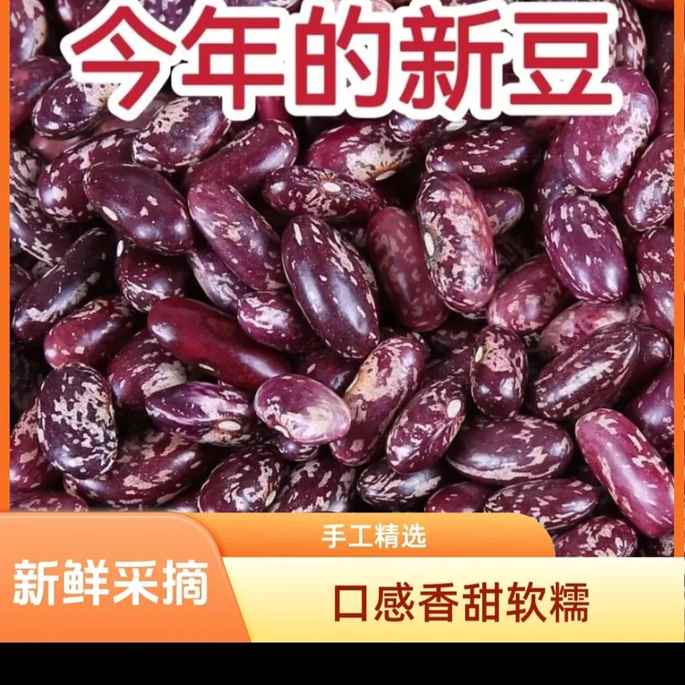 包邮2025贵州新紫花豆芸豆花豆腰豆红花豆四季豆米正宗五谷杂粮