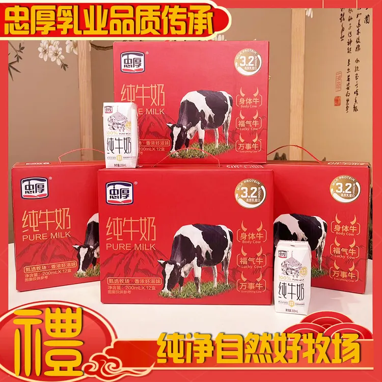 忠厚红色礼盒装纯牛奶200ml*12盒*4箱新鲜日期儿童学生成人牛奶
