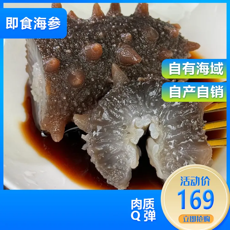 11-13头  即食海参 自产自销可溯源