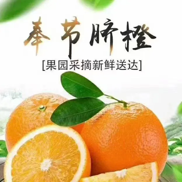 奉节脐橙75-85大果