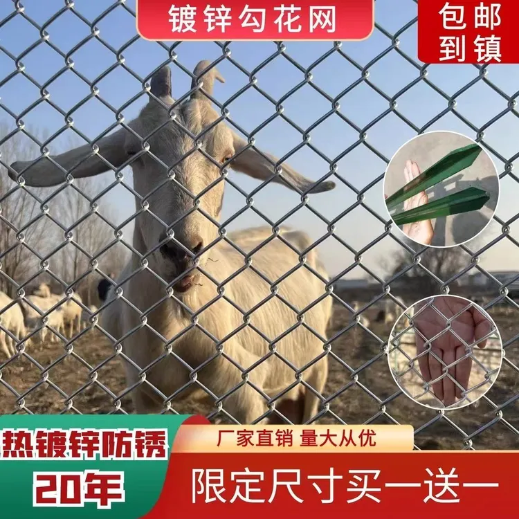 热镀锌钢丝网围档网养鸡狗牛羊养殖网勾花网钢丝网户外养鸡围栏网
