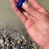 未镶嵌和田玉（糖玉）珠宝奇石