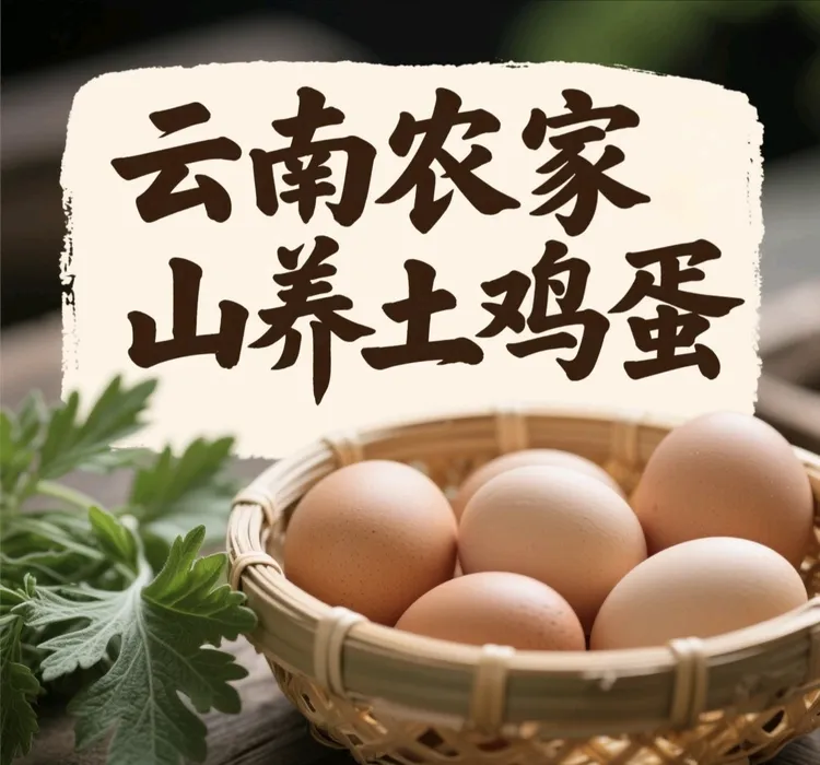 云南农家山养土鸡蛋山林散养自然觅食蛋香浓郁营养足宝宝孕妇纯正