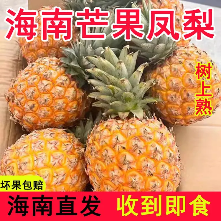 正宗海南芒果凤梨台农23号风味浓郁新鲜采摘新鲜应季