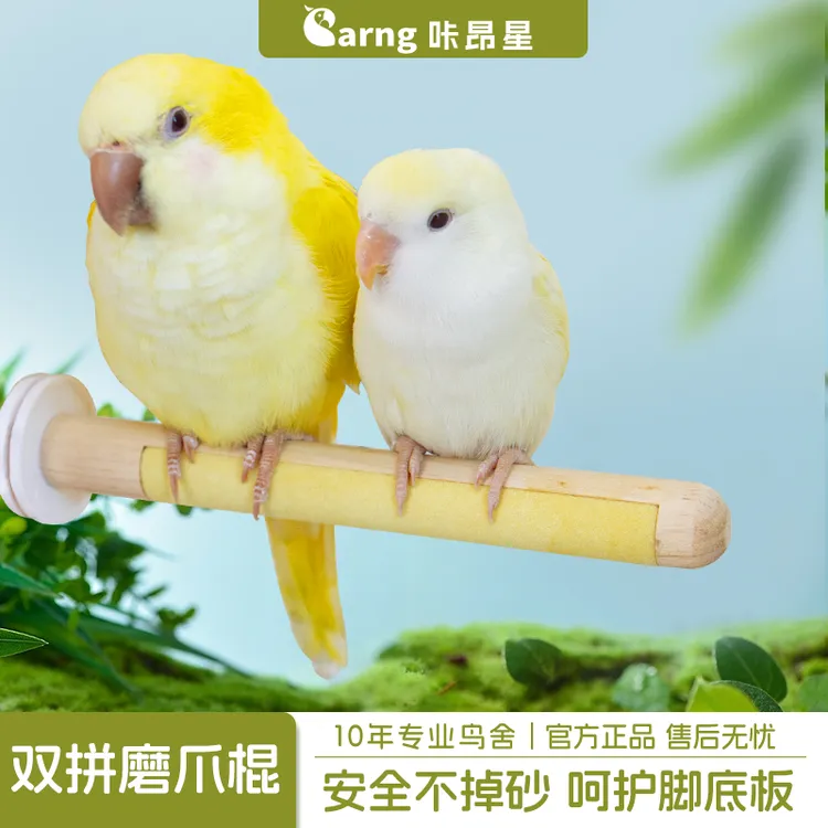 咔昂星鹦鹉磨砂站杆站棍磨爪棒和尚牡丹玄凤虎皮磨嘴玩具鸟用品