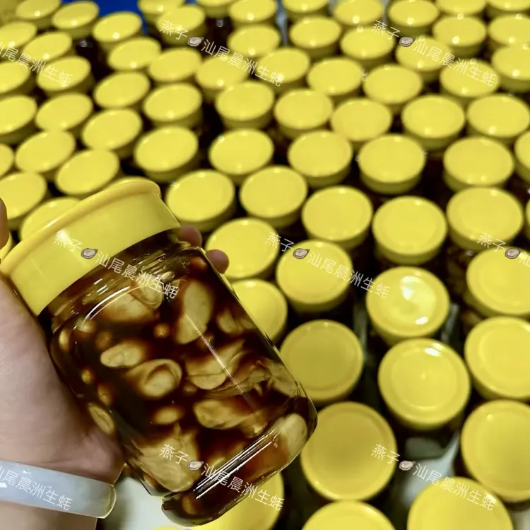 汕尾辰洲生蚝辰洲黄豆蚝解 咸蚝仔咸货潮汕生腌500克省内顺丰包邮