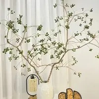 【乌桕果】大枝禅意氛围小众氛围感鲜切花材云南基地顺丰直发