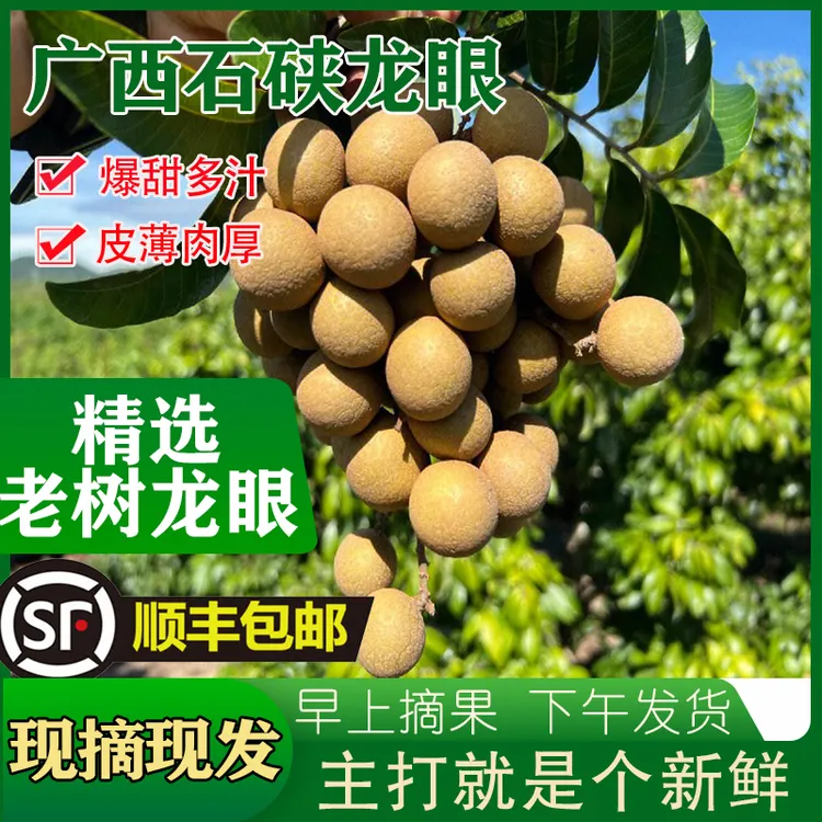 顺丰广西石硖龙眼新鲜现摘果肉厚多汁带枝叶两广专属彩箱发货