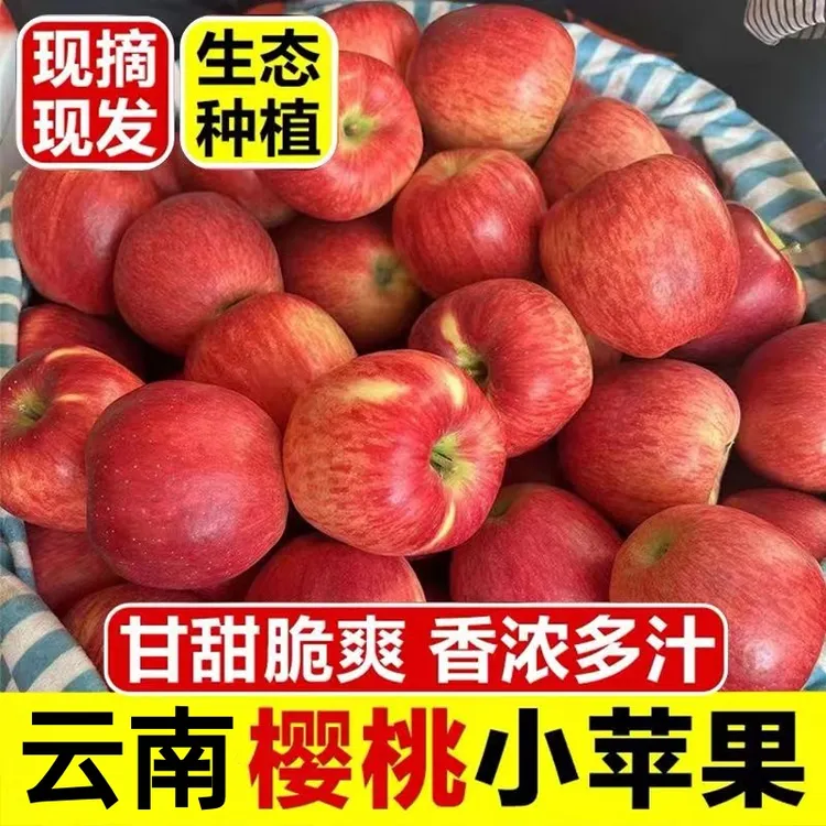云南昭通丑苹果红路品种新鲜应季脆甜水果产地直发