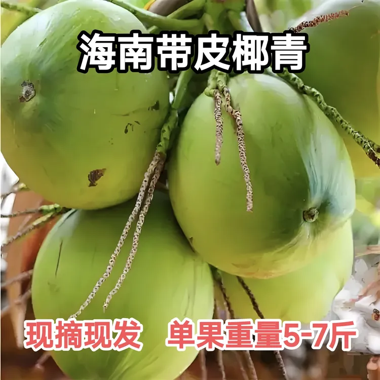 【5个装 】海南带皮青椰子纯天然新鲜现摘/孕妈妈补羊水