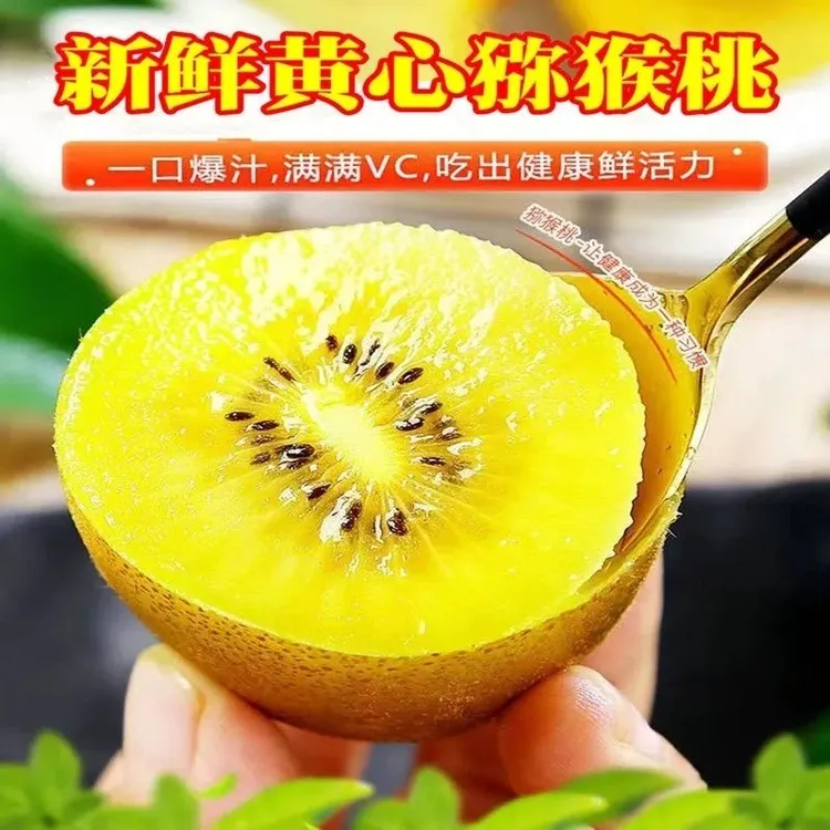 新客立减黄心猕猴桃新鲜黄肉奇异果农现摘孕妇水果整箱包邮巨甜