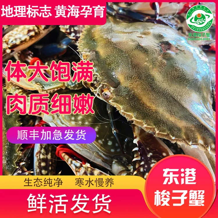 【保鲜不保活】丹东东港中母梭子蟹飞蟹3-4两/只2-3斤装不包全腿