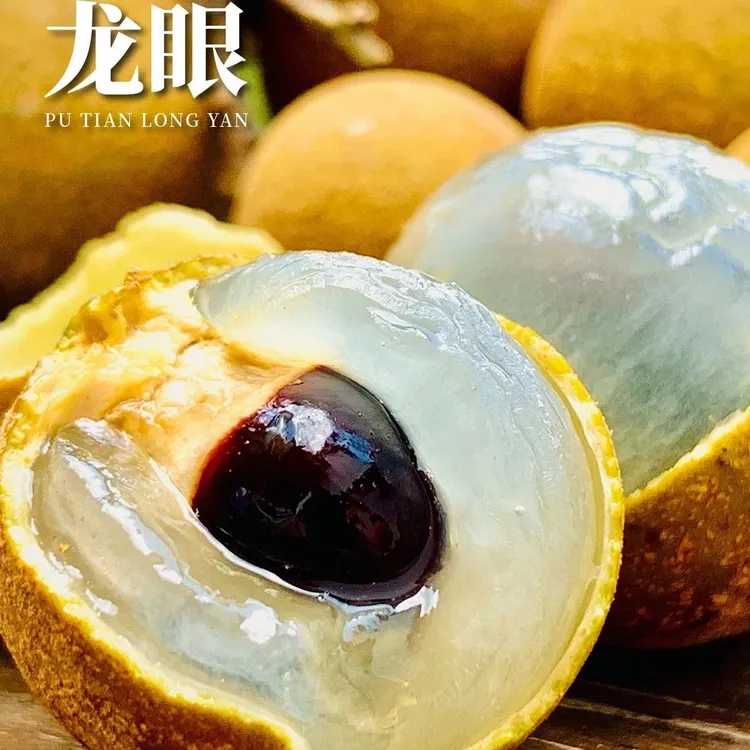 （龙眼）品种嫁接苗，又称桂圆，果实近球形，富含营养，具食用。