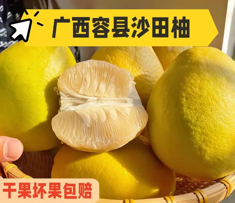 广西容县正宗沙田柚新鲜现摘白心多汁香甜应季水果包邮