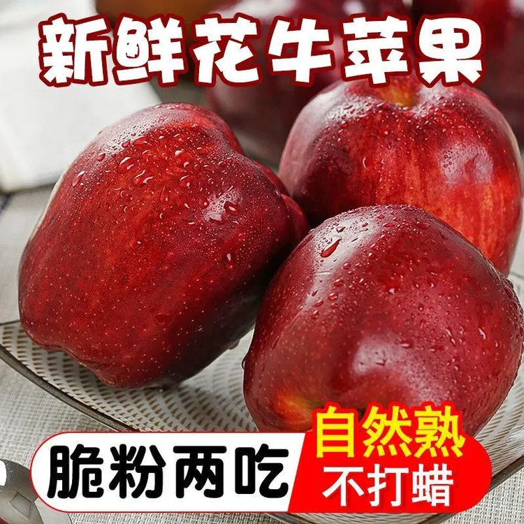 花牛苹果天水正宗新鲜应季水果粉面脆甜蛇果宝宝辅食平果整箱包邮