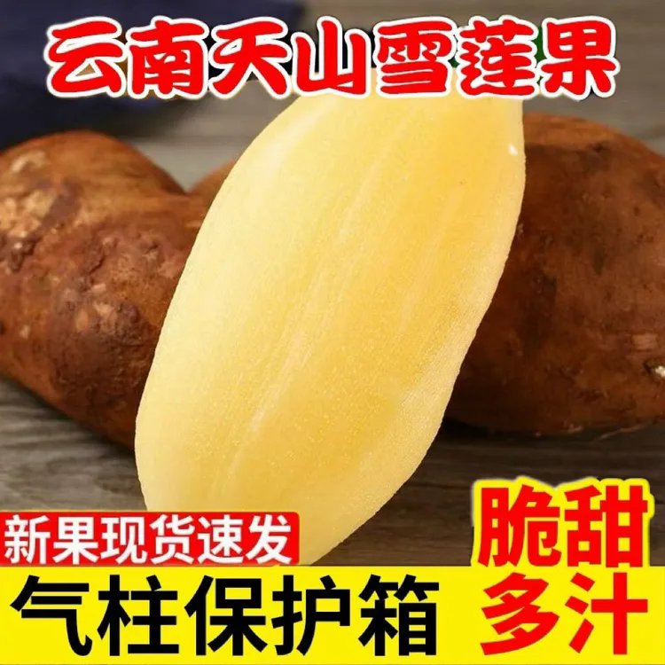 [送削皮刀]正宗云南雪莲果当季水果黄白果5斤装现挖低糖水果脆甜