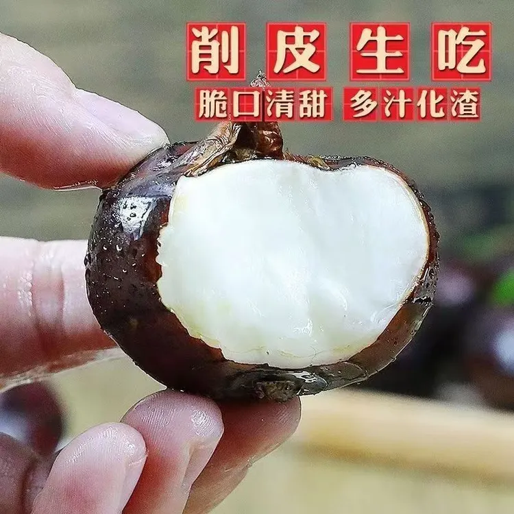 马蹄新鲜现挖带泥马蹄大荸荠江西农家种植当季水果脆甜多汁大马蹄