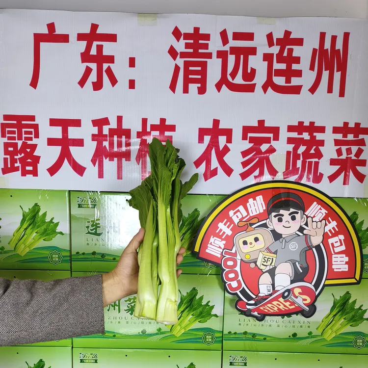 广东:清远连州4号迟菜心
