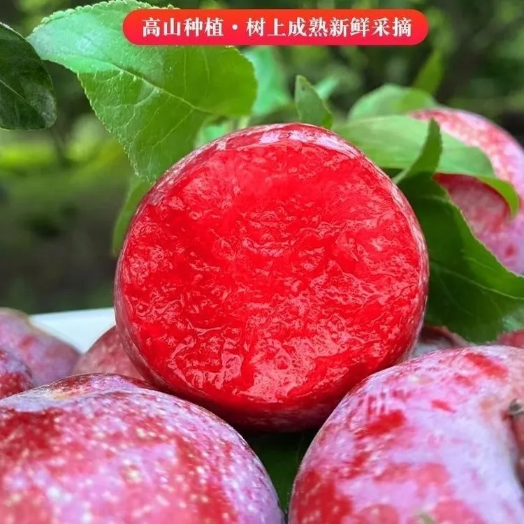 【顺丰冷链】正宗三华李红心李子新鲜采摘应季水果酸脆可口孕妇水果