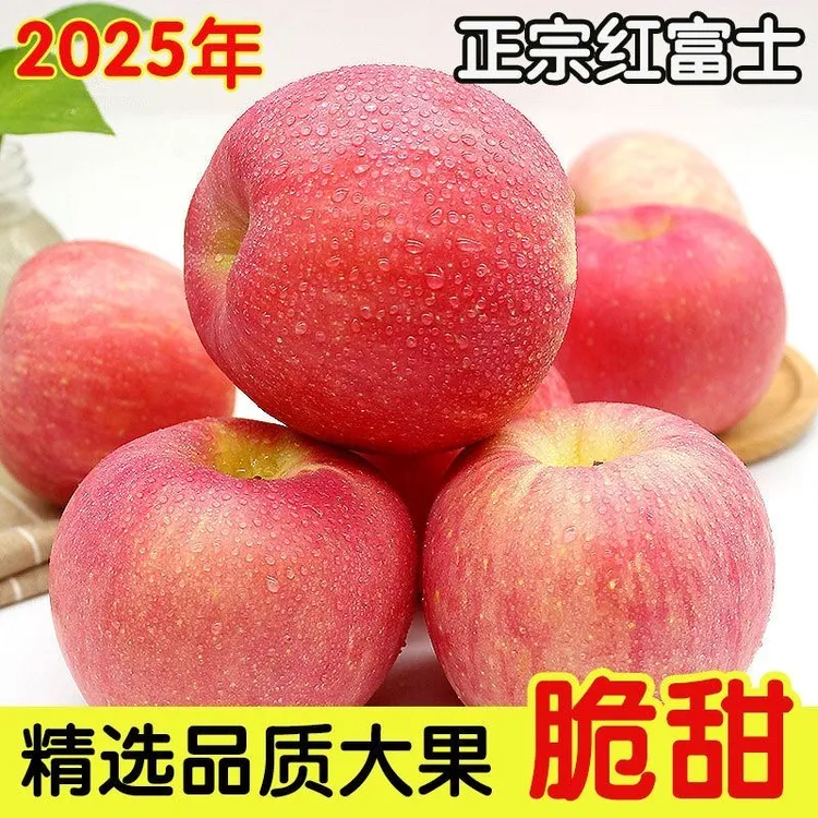 正宗烟台红富士苹果当季现摘现发新鲜脆甜爽口
