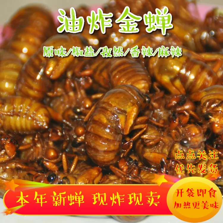 山东油炸梨园大个金蝉爬叉知了猴高蛋白开袋即食麻辣椒盐下酒菜